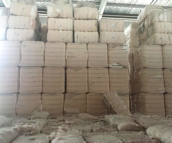 Shankar-6 Cotton Bales